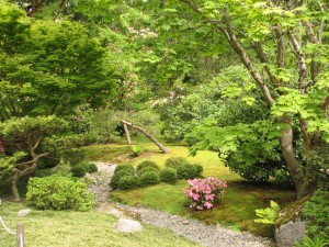 Японский сад.