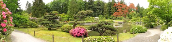 Японский сад. Панорама.
